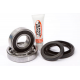 PIVOT WORKS ŁOŻYSKA KOŁA TYLNEGO YAMAHA YFM 350 GRYZLLY 07-10, KODIAK YFM 400 03-04 BIG BEAR