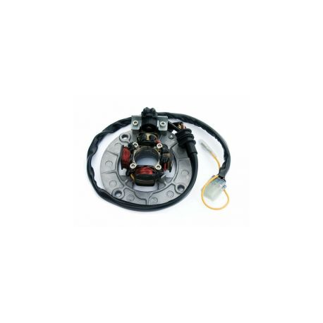 ELECTREX UZWOJENIE ALTERNATORA STATOR ZE ŚWIATŁAMI YAMAHA YZF250(04-),YZF400/426/450(98-05)(KOMPLET)