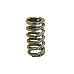 Nachman, pružina sacího ventilu, KTM SXF 250 '08-'12, EXCF 250 08-13 (PSYCHIC) (MX-09551IS)