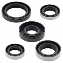 Winderosa (Vertex), sada gufer motoru, Kawasaki KLX110 02-20, KLX110L 10-20, Suzuki DRZ110 03-06