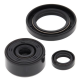 WINDEROSA 2021/07 (VERTEX) KOMPLET (ZESTAW) USZCZELNIACZY SILNIKOWYCH YAMAHA XT250 08-21, YFM 250 RAPTOR 08-13