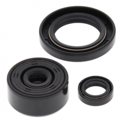 WINDEROSA 2021/07 (VERTEX) KOMPLET (ZESTAW) USZCZELNIACZY SILNIKOWYCH YAMAHA XT250 08-21, YFM 250 RAPTOR 08-13