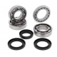 BEARING WORX ŁOŻYSKA WAŁU KORBOWEGO GAS GAS EC 200 '05-'07, EC 250 / 300 '03-'07 (NTN) (24-1115)