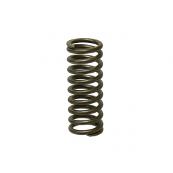 NACHMAN SPRĘŻYNA ZAWORU WYDECHOWEGO KAWASAKI KXF 250 06-14 (PSYCHIC) (MX-09505ES) - ZASTĄPIONY PRZEZ XU-09509ES