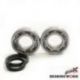 BEARING WORX ŁOŻYSKA WAŁU KORBOWEGO Z USZCZELANIACZAMI BETA 4T 350/400/450/498 (NTN)