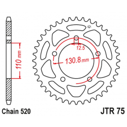 JT, rozeta 4586 43 BMW S 1000 RR '09-20' (458643JT) (řetěz520) konverze