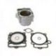 ATHENA CYLINDER STD + USZCZELKI TOP-END KTM EXCF 350 '14-'16 HUSQVARNA FE 350 '14