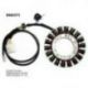 ELECTROSPORT UZWOJENIE ALTERNATORA (STATOR) SUZUKI AN 650 BURGMAN (03-12) (Z IMPULSATOREM)
