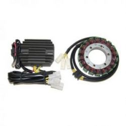 VERTEX PÍSTNÍ SADA APRILIA DITECH 50 42,00 MM (+1,00 MM)