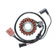 ELECTROSPORT UZWOJENIE ALTERNATORA (STATOR) APRILIA / GILERA / ITALJET / MALAGUTI / PIAGGIO / VESPA 125/250/300/500CCM
