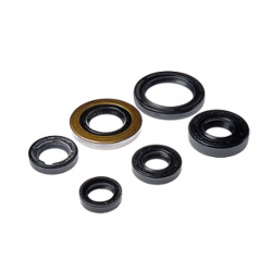 Bearing Worx, sada gufer motoru (822278)