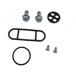 BEARING WORX 2023/04 ZESTAW NAPRAWCZY KRANIKA KAWASAKI KEF 300 LAKOTA '95-'03, KFX 250 MOJAVE '87-'04, KLF 220/250 BAYOU '88-'11