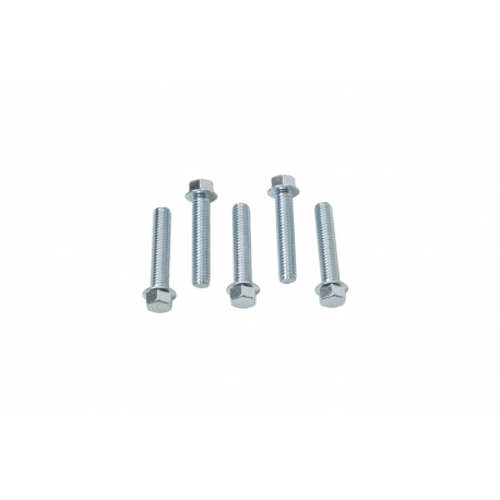 ACCEL 2023/08 ŚRUBA KOŁNIERZOWA M6X30MM Z PŁASKIM ŁBEM BEZ OZNACZEŃ (5 SZT.)