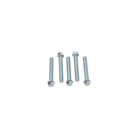 ACCEL 2023/08 ŚRUBA KOŁNIERZOWA M6X40MM Z PŁASKIM ŁBEM BEZ OZNACZEŃ (5 SZT.)