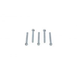 Accel, šroub s límcem, M6X45mm, plochá hlava (5 ks.)