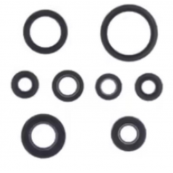 ATHENA KOMPLET (ZESTAW) USZCZELNIACZY SILNIKOWYCH YAMAHA YFM 660R RAPTOR '01-'05