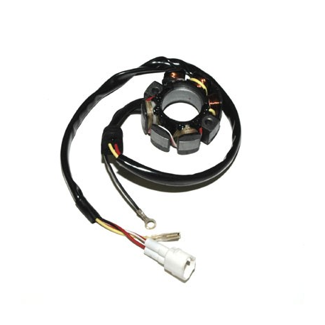 Electrosport x, stator alternátoru se světly, KTM 400/450/525/540/560
