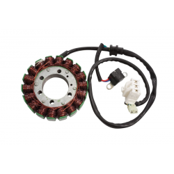 Electrosport, stator alternátoru, SYM JOUMAX / GTS 300