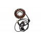ELECTROSPORT 2025/02 UZWOJENIE ALTERNATORA STATOR TRIUMPH TIGER 800