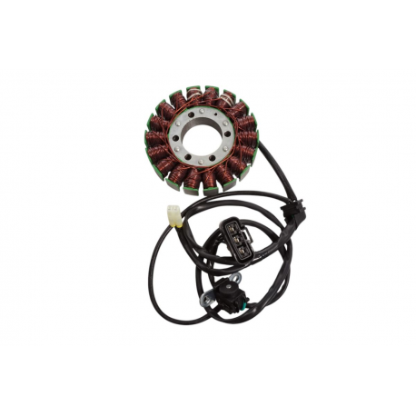ELECTROSPORT 2025/02 UZWOJENIE ALTERNATORA STATOR TRIUMPH TIGER 800