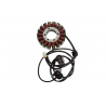 ELECTROSPORT 2025/02 UZWOJENIE ALTERNATORA STATOR TRIUMPH TIGER 800