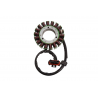 ELECTROSPORT 2025/02 UZWOJENIE ALTERNATORA STATOR POLARIS RZR 1000