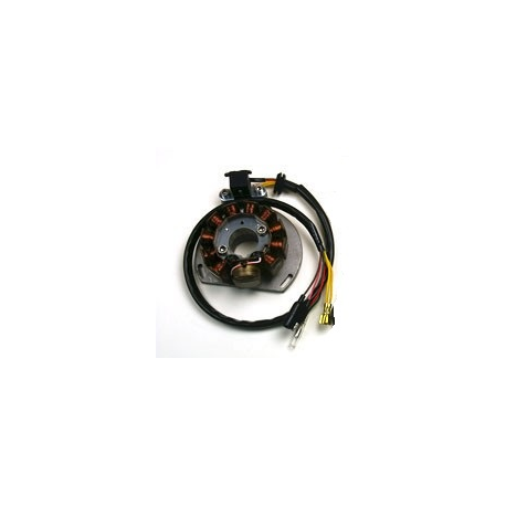 ELECTREX UZWOJENIE ALTERNATORA STATOR KTM 125/200/300 HI POWER WATT