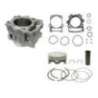 NAMURA 2025/10 CYLINDER KOMPLETNY YAMAHA YFM 700 GRIZZLY 14-15, YXC 700 VIKING 14-18 STD 102MM (20104-K02) - ZASTĘPUJE AT-09476K