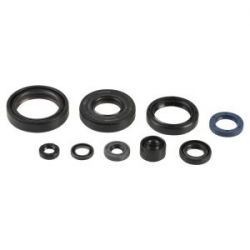 Electrosport, stator alternátoru, BMW F 800GS (09-17), F 650GS TWIN (09-15), F 800ST (05-13), F700GS