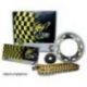 REGINA ZESTAW NAPĘDOWY YAMAHA MT-09 / SP (14-20), TRACER 900 (15-18), XSR 900 (14-20) (16/45/110/525ZRT) ŁAŃCUCH DO 900 CCM ZŁOT