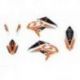 BLACKBIRD KOMPLET NAKLEJEK (OKLEIN) BETA RR 4T '10-'12, DREAM 4