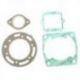ATHENA 2022/05 USZCZELKI TOP-END POLARIS 350 2T '90-'93