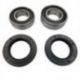 BEARING WORX 2022/04 ŁOŻYSKA KOŁA PRZEDNIEGO Z USZCZELNIACZAMI KAWASAKI KFX 50/90 '07-'17, ARCTIC CAT DVX 50 '06-'08, DVX 90 '06