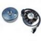 ELECTREX ZESTAW ZAPŁONU CDI DO KTM EXC 125/200/250 '02-'07, SX380 '02-'09 (MAGNETO + UZWOJENIE)