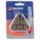 TECNIUM (VICMA) ROLKI WARIATORA 16X13 4,5G 6SZT. (3917)