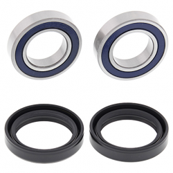 NGK, zapalovací svíčka R0451B-8 (NR 9356) CRF 250 R '10-'19 (4)