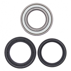 Denso, zapalovací svíčka Iridium IW01-24 (R7376-8)