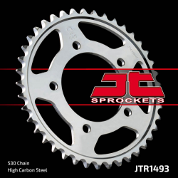 JT, rozeta 4542 41 Kawasaki ZZR 1400 '06-'18 (454241JT) (řetěz 530)