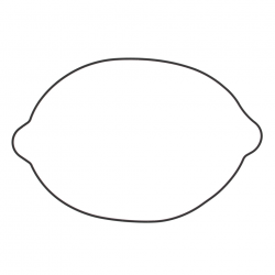 Winderosa (Vertex), těsnění víka spojky, KTM SX250 03-16, EXC 250 04-05 XCW250 '04-'12, SX/EXC300 (S410270008047) (ORING) (
