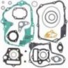 Ipone Spray Chain, 250 ML