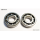 BEARING WORX ŁOŻYSKA WAŁU KORBOWEGO SUZUKI LTR 450 (06-12) (NTN) (24-1116) (K051)