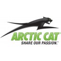 Písty Arctic Cat ATV