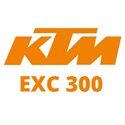 EXC 300