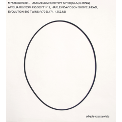 ATHENA USZCZELKA POKRYWY SPRZĘGŁA APRILIA RXV/SXV 450/550 '11-'12, HARLEY-DAVIDSON SHOVELHEAD, EVOLUTION BIG TWINS (V70 D.171, 1