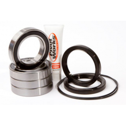 PIVOT WORKS ŁOŻYSKA KOŁA TYLNEGO SUZUKI LT-R 450 (06-09)