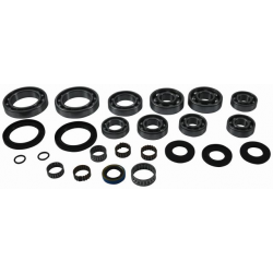 ALL BALLS ZESTAW NAPRAWCZY DYFERENCJAŁU TYLNEGO POLARIS SPORTSMAN 500 4X4 RSE '00