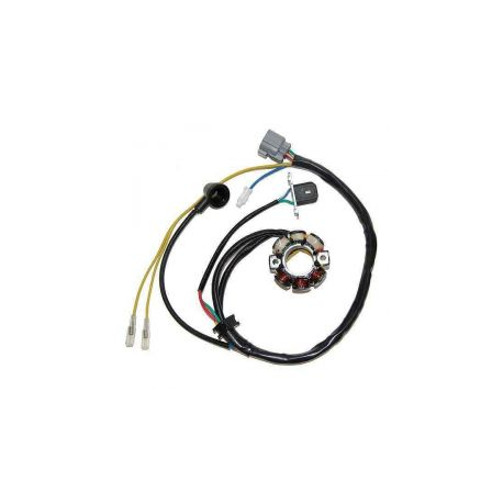 ELECTROSPORT UZWOJENIE ALTERNATORA (STATOR) ZE ŚWIATŁAMI KAWASAKI KXF 250 (05-10), SUZUKI RMZ 250 (05-06) (Z IMPULSATOREM) (50W)