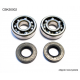 BEARING WORX ŁOŻYSKA WAŁU KORBOWEGO KAWASAKI KX 65/80/85, SUZUKI RM 60/65 (NTN) (24-1006)