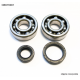 BEARING WORX ŁOŻYSKA WAŁU KORBOWEGO SUZUKI RM 80/85 89-16 (NTN) (24-1014)
