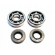 BEARING WORX ŁOŻYSKA WAŁU KORBOWEGO SHERCO ENDURO 4.5I '04-'13, SEF 450R '15-'16, ENDURO 5.1I '04-'13